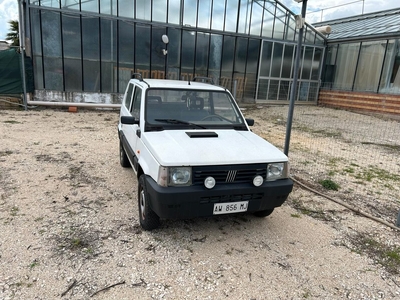 Fiat Panda 1100 i.e. cat 4x4 Country Club Benzina/GPL