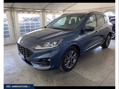 Ford Kuga 1.5 EcoBlue 120 CV 2WD ST-Line usato