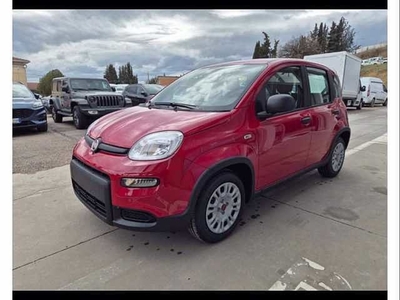 Fiat Panda 1.0 firefly hybrid s&s 70cv 5p.ti nuovo