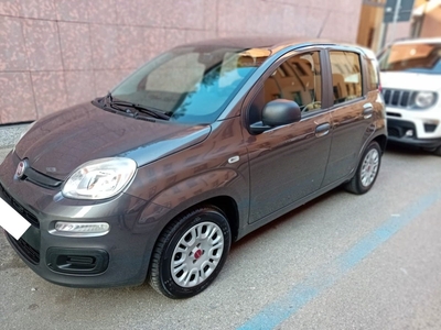 Fiat Panda 1.2 EasyPower Easy usato