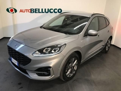 FORD Kuga 1.5 EcoBlue 120 CV aut. ST-Line