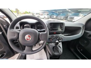 FIAT PANDA 1.0 FireFly S&S Hybrid KM 0 RINO BERTON S.R.L.