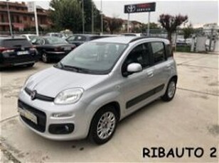 Fiat Panda 1.2 EasyPower City Life del 2016 usata a Savigliano