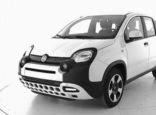 FIAT Panda Cross 1.0 FireFly S&S Hybrid Elettrica/Benzina