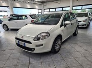 Fiat Punto 1.4 8V 5 porte Easypower Street del 2017 usata a Vignola