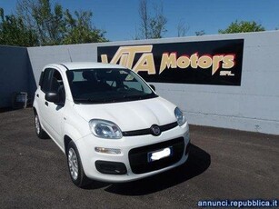 FIAT - Panda - 1.2 Easy