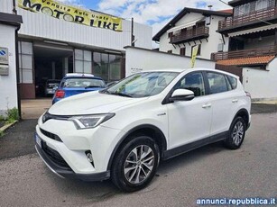 RAV4 2.5 Hybrid 2WD Active Segrate