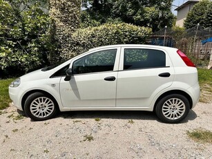 Usato 2013 Fiat Punto 1.2 Diesel 75 CV (3.500 €)