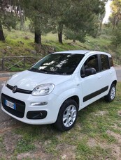 Usato 2015 Fiat Panda 4x4 1.2 Diesel 75 CV (8.600 €)