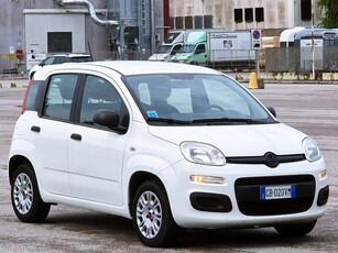 Usato 2020 Fiat Panda 1.2 LPG_Hybrid 69 CV (10.600 €)