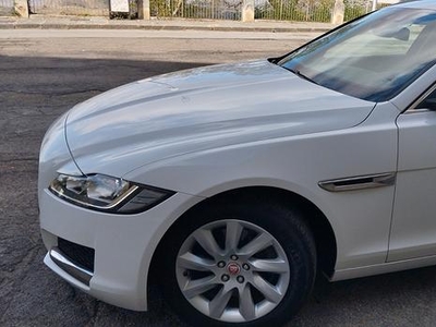 JAGUAR XF 2ª serie (X260) - 2019