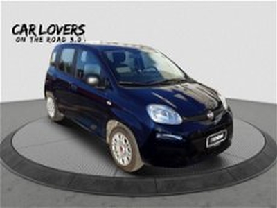 Fiat Panda 1.0 FireFly S&S Hybrid City Cross del 2021 usata a Roma