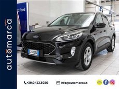 Ford Kuga 1.5 EcoBlue 120 CV 2WD Titanium del 2021 usata a Silea