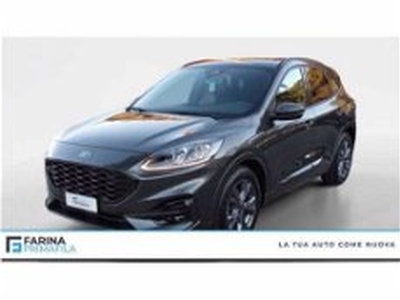 Ford Kuga 2.5 Plug In Hybrid 225 CV CVT 2WD ST-Line X my 20 del 2021 usata a Pozzuoli