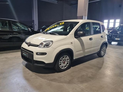 Fiat Panda Hybrid 1.0 70cv