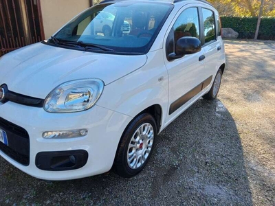 Usato 2015 Fiat Panda 1.2 Benzin 69 CV (6.000 €)