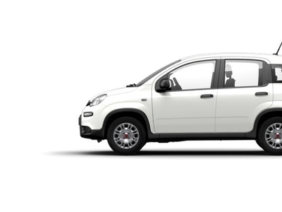 Usato 2023 Fiat Panda 1.0 El_Hybrid 70 CV (13.565 €)