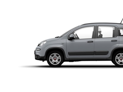 Usato 2023 Fiat Panda 1.0 El_Hybrid 70 CV (14.683 €)