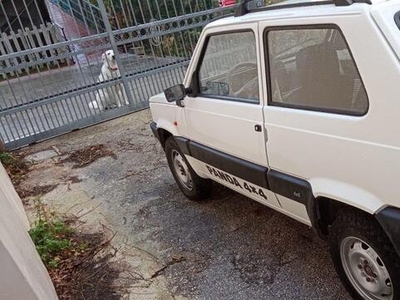 Usato 1997 Fiat Panda 4x4 Benzin (5.500 €)