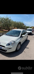 Usato 2014 Fiat Punto 1.2 Diesel 90 CV (3.899 €)