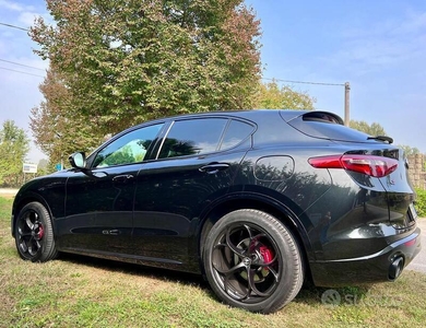 Usato 2020 Alfa Romeo Stelvio 2.1 Diesel 210 CV (33.000 €)