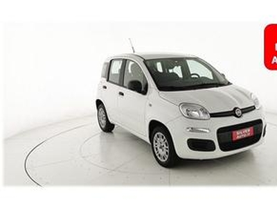 FIAT Panda 1.2 Easy - OK NEOPATENTATI