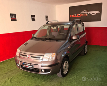 Fiat panda dynamic da vetrina