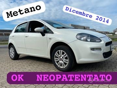 Fiat Punto 1.4 8V 5 porte Natural Power Lounge