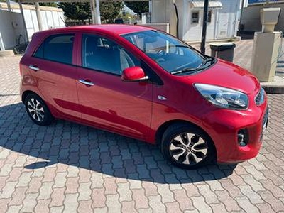 Kia Picanto 1.0 benzina sporty glam