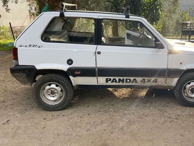 Usato 1990 Fiat Panda 4x4 1.0 Benzin 50 CV (5.200 €)