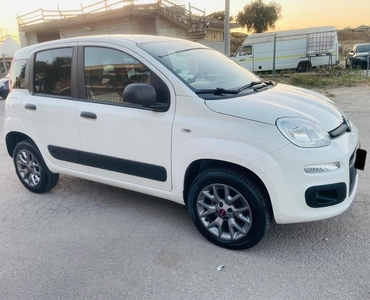 Usato 2018 Fiat Panda 4x4 1.2 Diesel 95 CV (11.900 €)