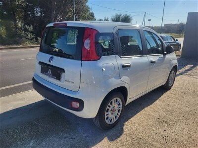Usato 2020 Fiat Panda 0.9 CNG_Hybrid 86 CV (8.999 €)