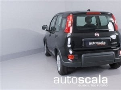 Usato 2023 Fiat Panda 1.0 El 71 CV (12.590 €)