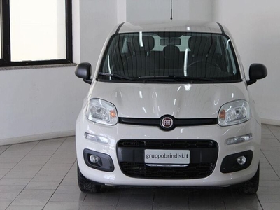 Usato 2024 Fiat Panda 1.2 Diesel 71 CV (9.400 €)