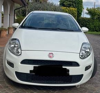 Vendita Fiat punto