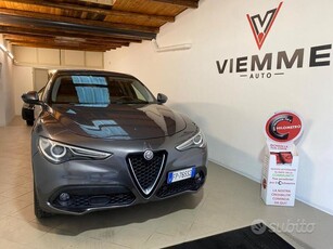 Usato 2019 Alfa Romeo Stelvio 2.1 Diesel 210 CV (21.900 €)