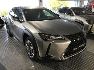 Usato 2022 Lexus UX 300e El 204 CV (35.990 €)