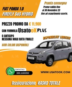 Fiat Panda 1.0 FireFly S&S Hybrid City Life usato