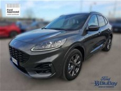 Ford Kuga 2.5 Plug In Hybrid 225 CV CVT 2WD ST-Line del 2023 usata a Livorno