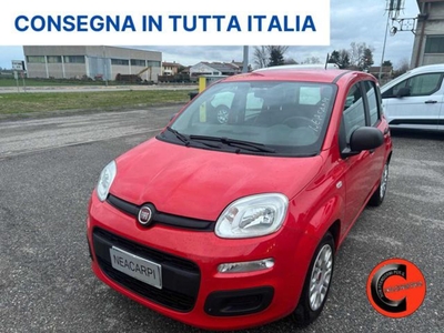 Fiat Panda 1.0 FireFly S&S Hybrid City Life usato