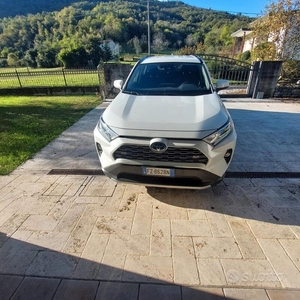 Usato 2020 Toyota RAV4 Hybrid 2.5 El_Hybrid 155 CV (33.000 €)