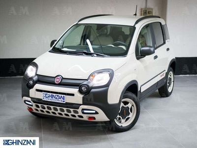 Usato 2023 Fiat Panda Cross 0.9 Benzin 84 CV (23.900 €)