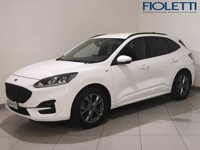 Ford Kuga 1.5 EcoBlue 120 CV aut. 2WD ST-Line da Fioletti .