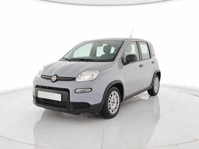 Fiat Panda 1.0 firefly hybrid s&s 70cv da Authos .