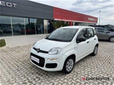 Fiat Panda 1.2 Easy del 2019 usata a Modugno