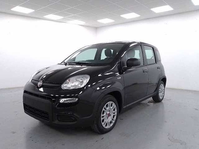 Fiat Panda 1.2 easypower gpl s&s 69cv da Azzurra .