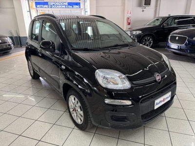 Fiat Panda 1.2 usato