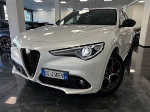 Alfa Romeo Stelvio Stelvio 2.2 Turbodiesel 210 CV AT8 Q4 Veloce Tì usato