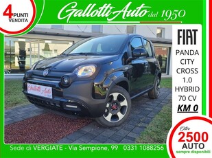 Fiat Panda 1.0 FireFly S&S Hybrid City Cross nuovo