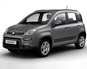 Fiat Panda 1.0 FireFly S&S Hybrid City Life usato